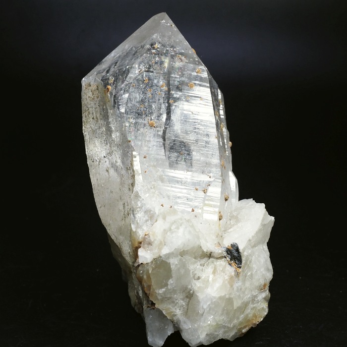 �r���^�����z���C�g�N�H�[�c �X�C�X�A���v�X���� 109mm 545g (28g7-5L)����