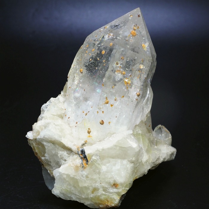 �r���^�����z���C�g�N�H�[�c �X�C�X�A���v�X���� 109mm 545g (28g7-5L)����