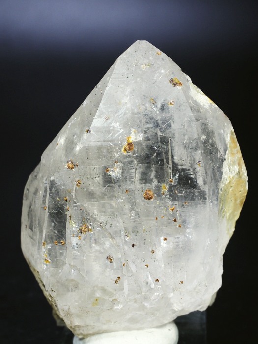 �r���^�����z���C�g�N�H�[�c �X�C�X�A���v�X���� 79mm 221g (28g7-5M)����