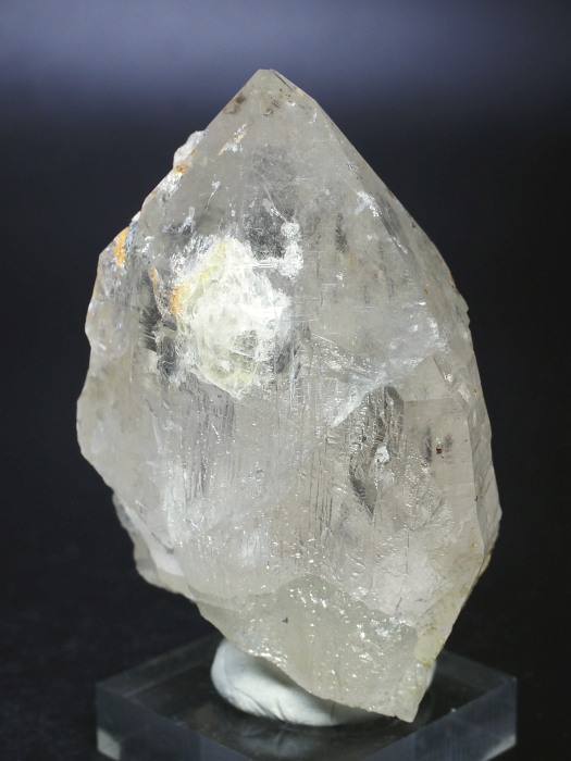 �r���^�����z���C�g�N�H�[�c �X�C�X�A���v�X���� 79mm 221g (28g7-5M)����