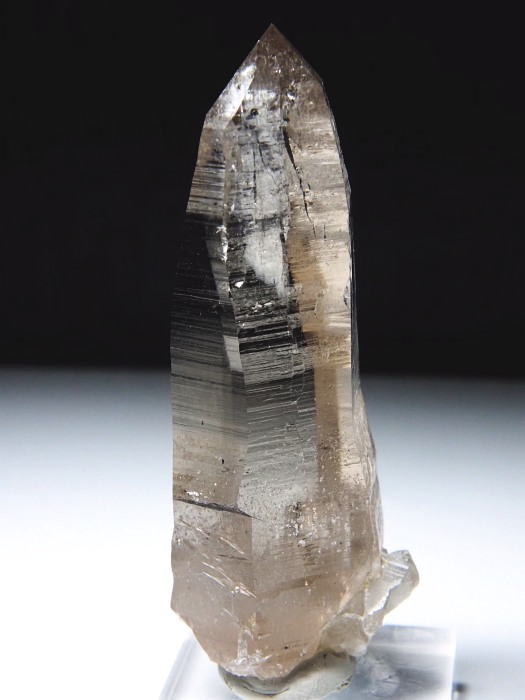 r^X[L[NH[c XCXAvXP 91mm 107g (36-20)