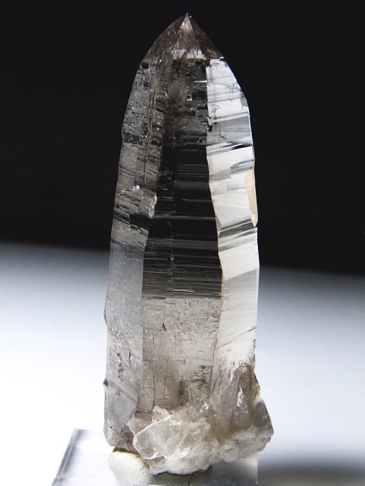 r^X[L[NH[c XCXAvXP 91mm 107g (36-20)