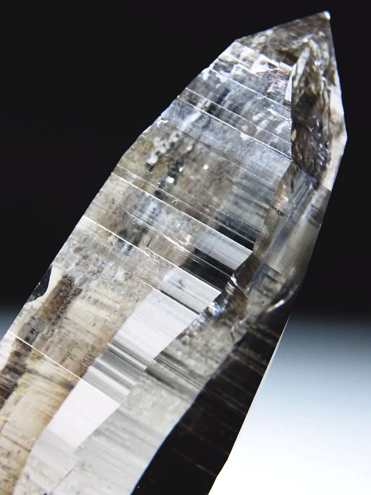 r^X[L[NH[c XCXAvXP 91mm 107g (36-20)