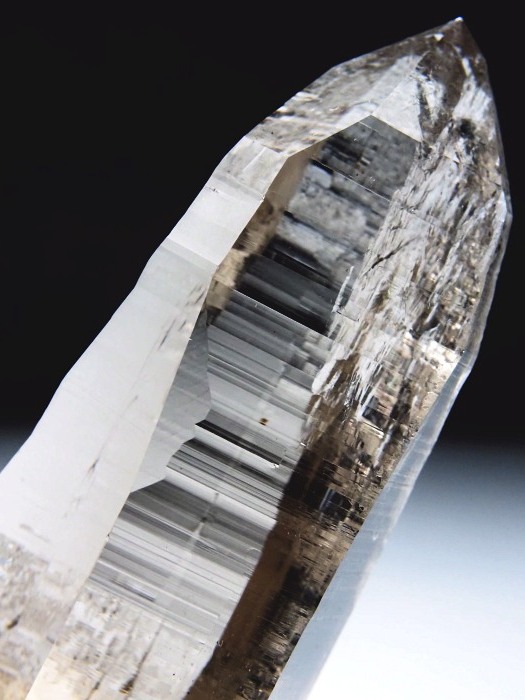 r^X[L[NH[c XCXAvXP 91mm 107g (36-20)