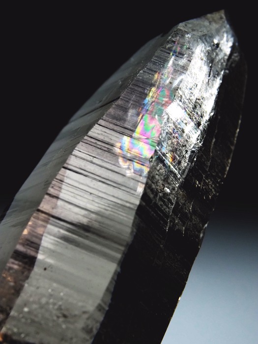 r^X[L[NH[c XCXAvXP 91mm 107g (36-20)