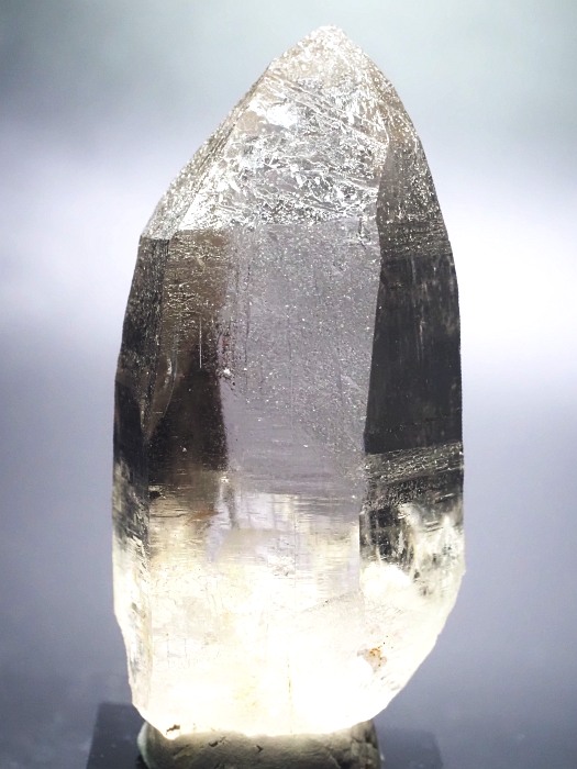 ebVnrbgXCXAvXP 76mm 119g (30-14)