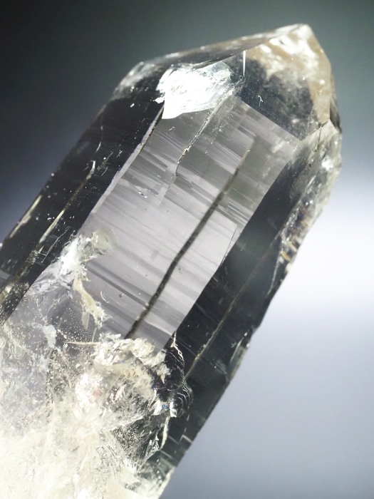 X[L[NH[cXCXAvXP 89mm 123g (30-11)