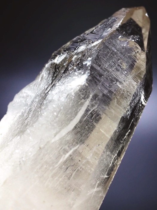 ebVnrbgXCXAvXP 84mm 130g (36-7)