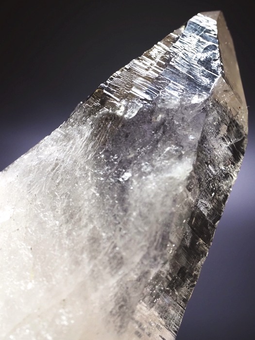 ebVnrbgXCXAvXP 84mm 130g (36-7)