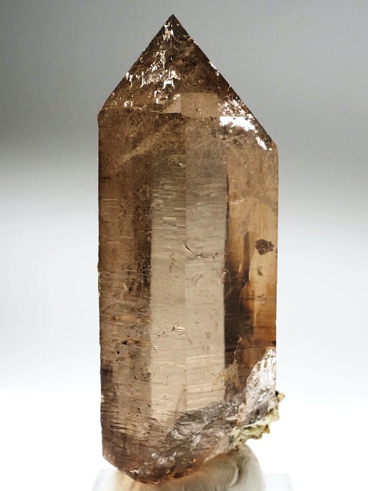 X[L[NH[cXCXAvXP 86mm 156g (17-3)