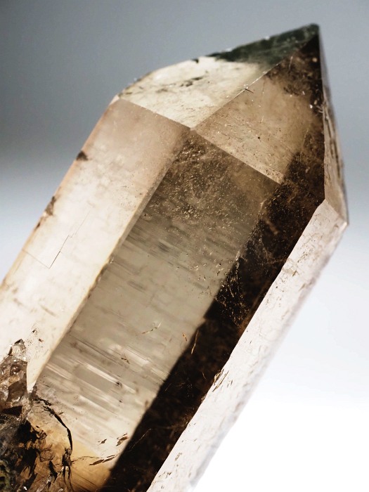 X[L[NH[cXCXAvXP 86mm 156g (17-3)