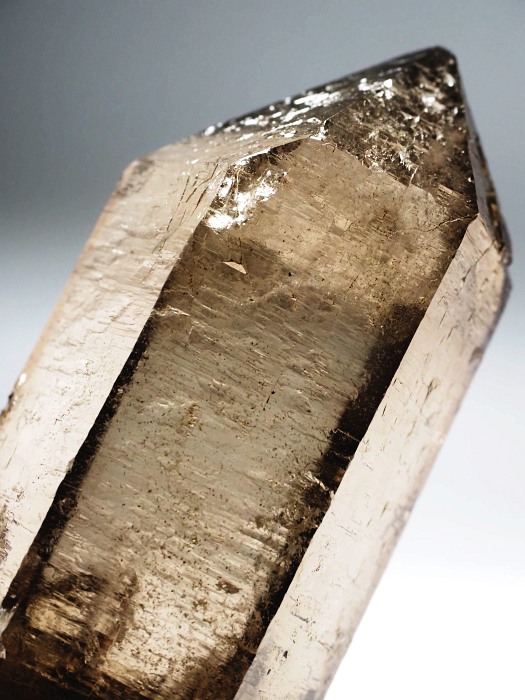 X[L[NH[cXCXAvXP 86mm 156g (17-3)