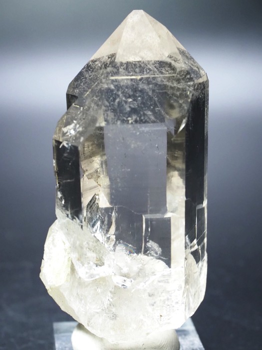 bNNX^XCXAvXP 85mm 191g (28g7-10)