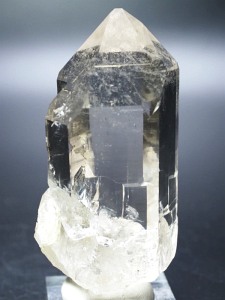 bNNX^<br>XCXAvXP<br> 85mm 191g (28g7-10)