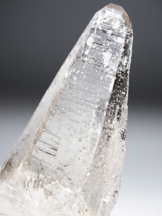 r^bNNX^  XCXAvXP 99mm 206g (36-15)