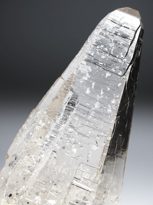 r^bNNX^  XCXAvXP 99mm 206g (36-15)