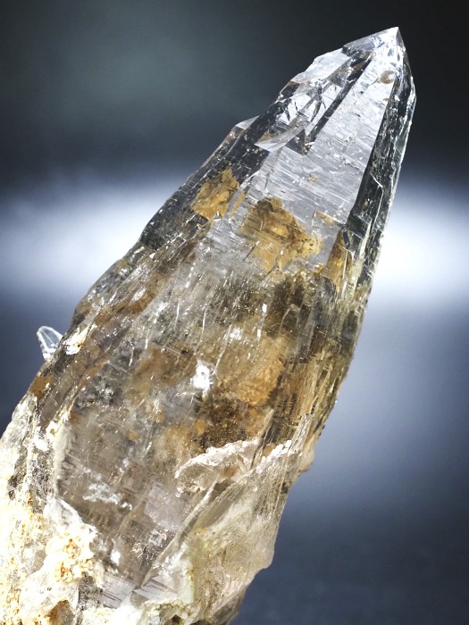 ebVnrbgXCXAvXP 132mm 211g (36-1)