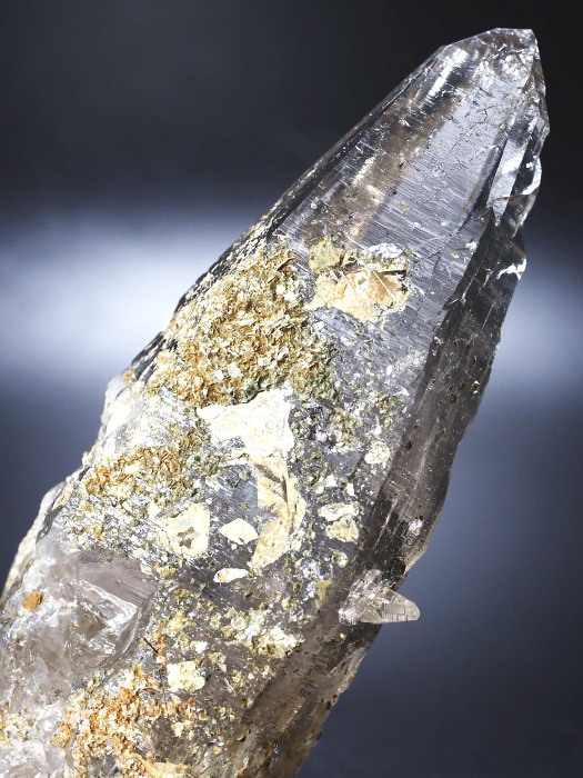 ebVnrbgXCXAvXP 132mm 211g (36-1)