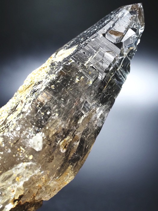 ebVnrbgXCXAvXP 132mm 211g (36-1)