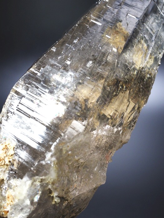 ebVnrbgXCXAvXP 132mm 211g (36-1)