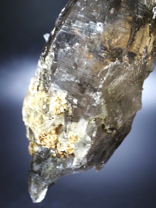 ebVnrbgXCXAvXP 132mm 211g (36-1)