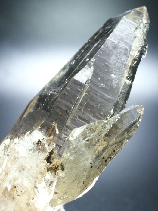 r^X[L[NH[cXCXAvXP 119mm 215g (33-26)