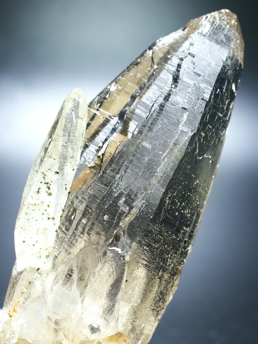 r^X[L[NH[cXCXAvXP 119mm 215g (33-26)