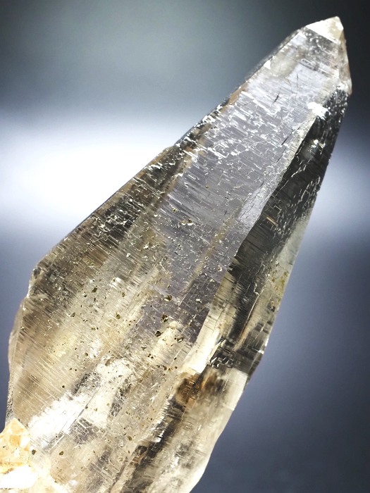 r^X[L[NH[cXCXAvXP 119mm 215g (33-26)