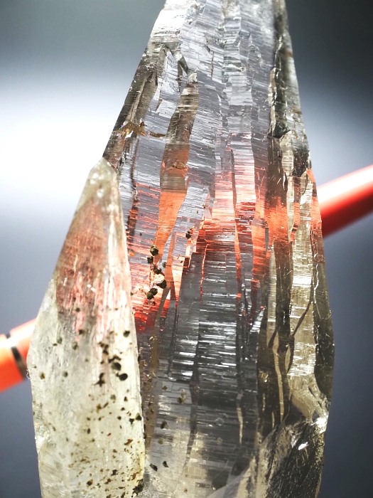 r^X[L[NH[cXCXAvXP 119mm 215g (33-26)