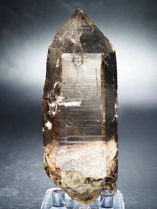 X[L[NH[cXCXAvXP 116mm 252g (28g7-1)