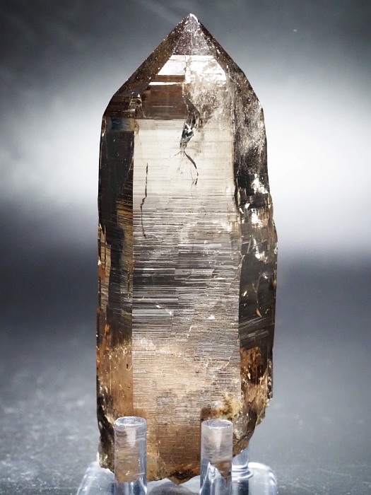 X[L[NH[cXCXAvXP 116mm 252g (28g7-1)