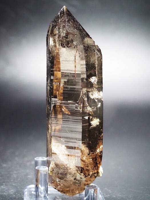 X[L[NH[cXCXAvXP 116mm 252g (28g7-1)