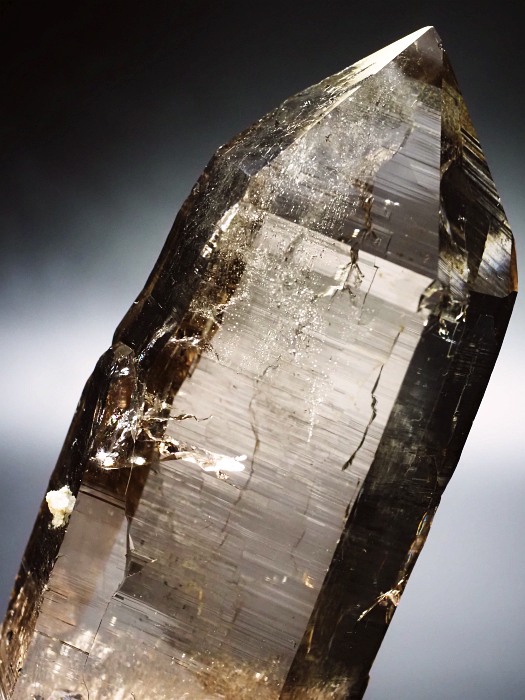 X[L[NH[cXCXAvXP 116mm 252g (28g7-1)