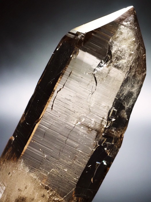 X[L[NH[cXCXAvXP 116mm 252g (28g7-1)