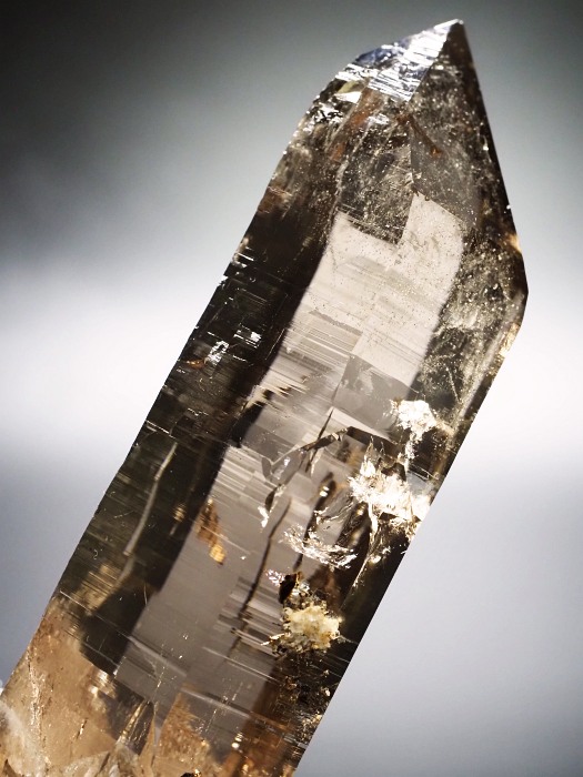 X[L[NH[cXCXAvXP 116mm 252g (28g7-1)