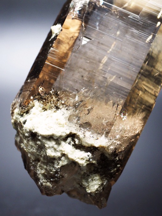 X[L[NH[cXCXAvXP 116mm 252g (28g7-1)