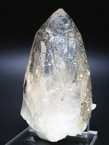 ebVnrbg<br>X[L[NH[c<br>XCXAvXP<br> 103mm 288g (35-37)