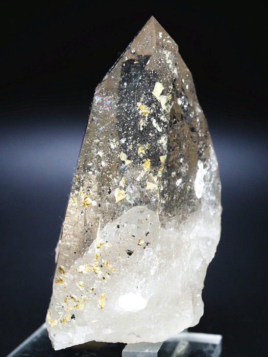 ebVnrbgX[L[NH[cXCXAvXP 103mm 288g (35-37)