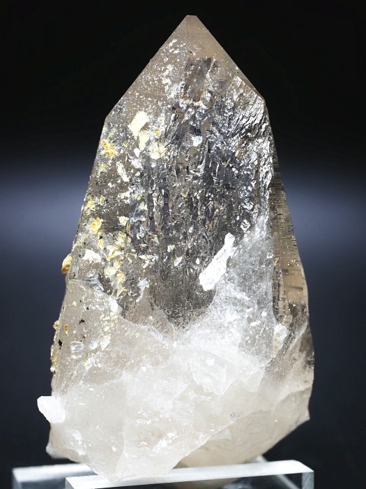 ebVnrbgX[L[NH[cXCXAvXP 103mm 288g (35-37)