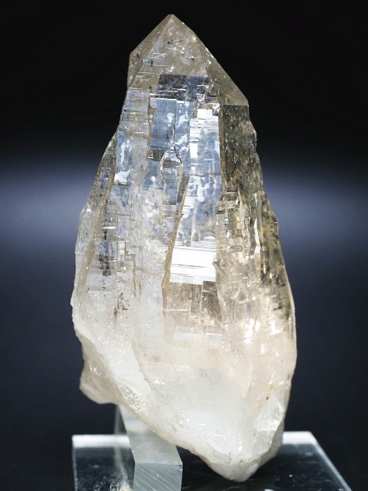 ebVnrbgX[L[NH[cXCXAvXP 103mm 288g (35-37)