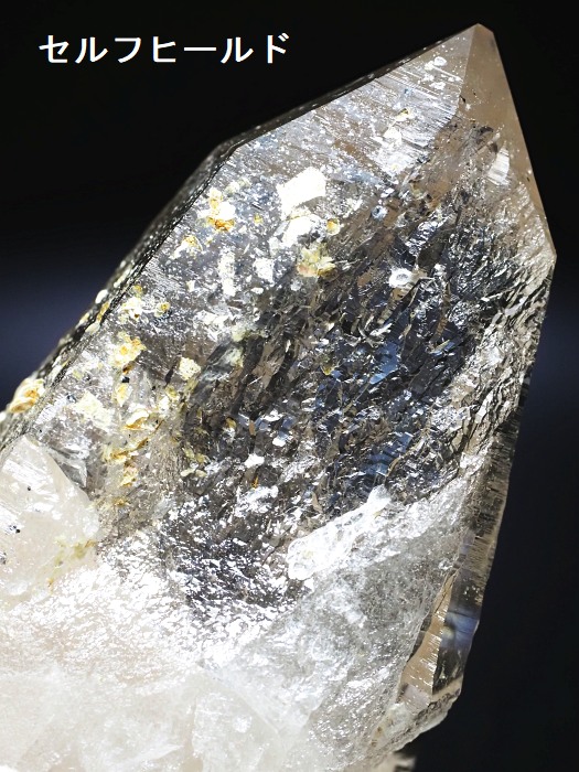 ebVnrbgX[L[NH[cXCXAvXP 103mm 288g (35-37)