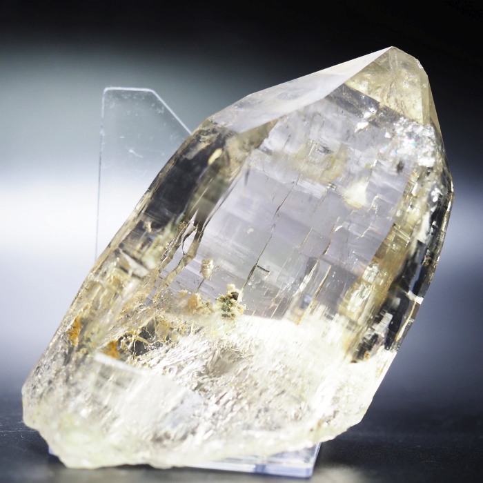 X[L[VgNH[cXCXAvXP 115mm 402g (35-36)