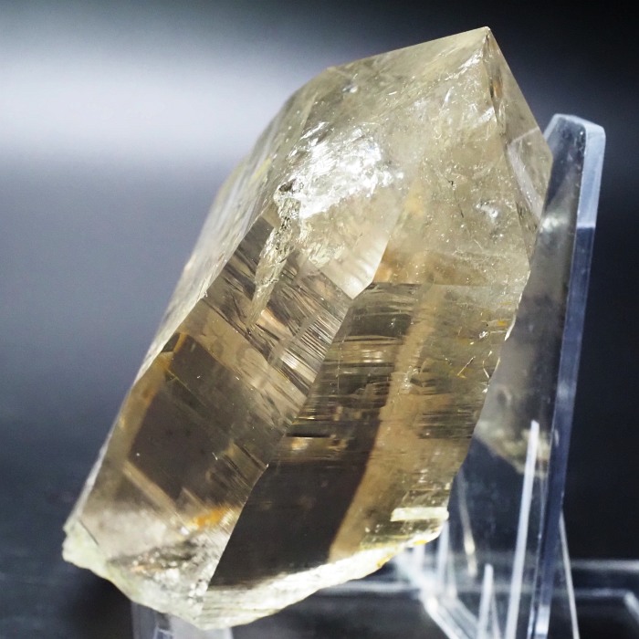 X[L[VgNH[cXCXAvXP 115mm 402g (35-36)