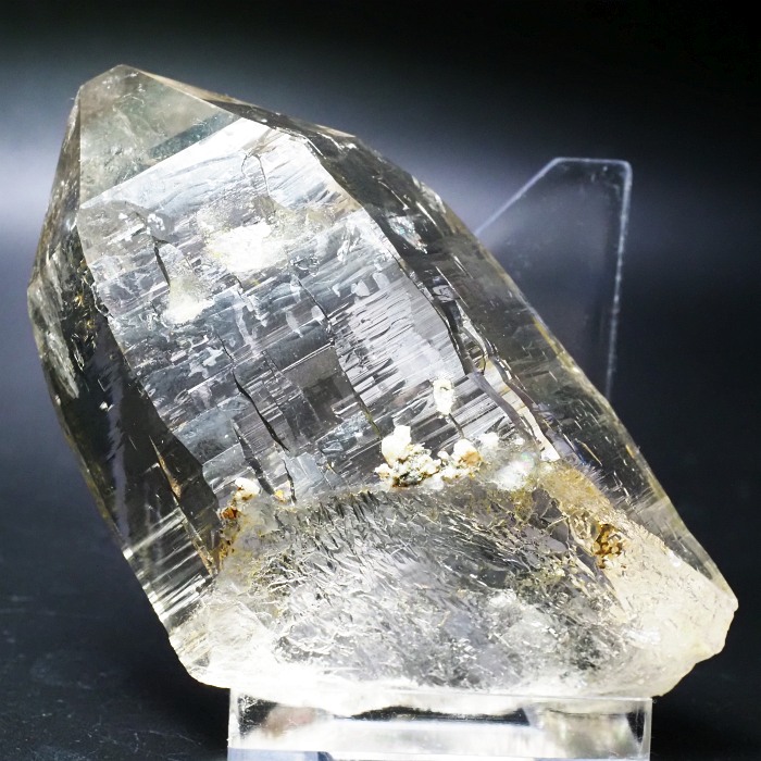 X[L[VgNH[cXCXAvXP 115mm 402g (35-36)