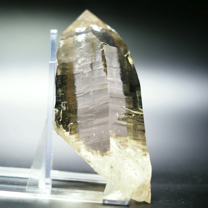 X[L[VgNH[cXCXAvXP 115mm 402g (35-36)