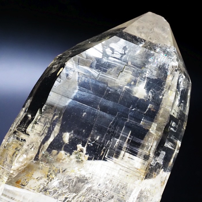 X[L[VgNH[cXCXAvXP 115mm 402g (35-36)