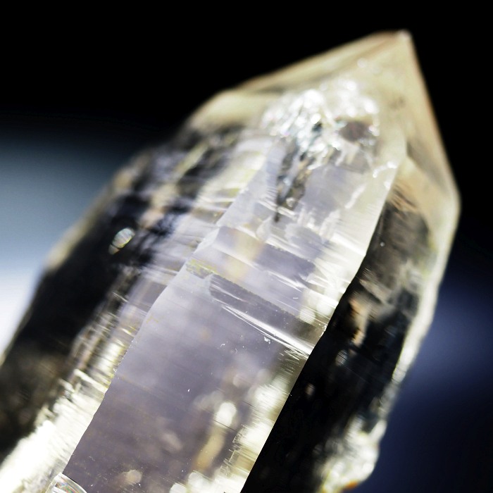 X[L[VgNH[cXCXAvXP 115mm 402g (35-36)