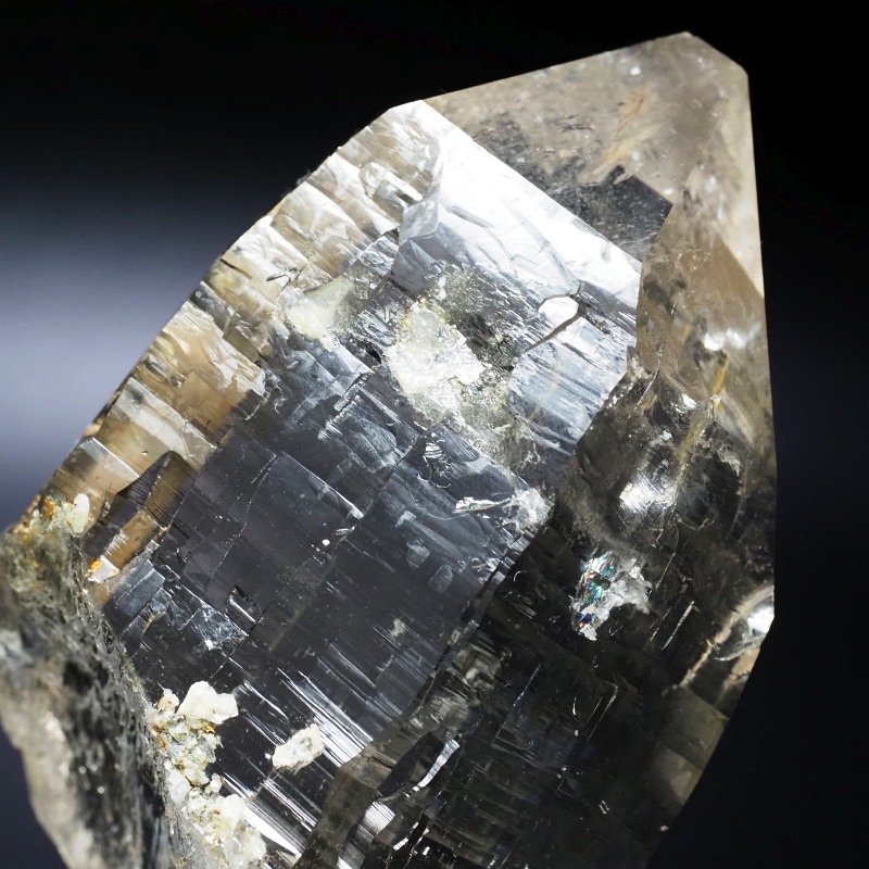 X[L[VgNH[cXCXAvXP 115mm 402g (35-36)