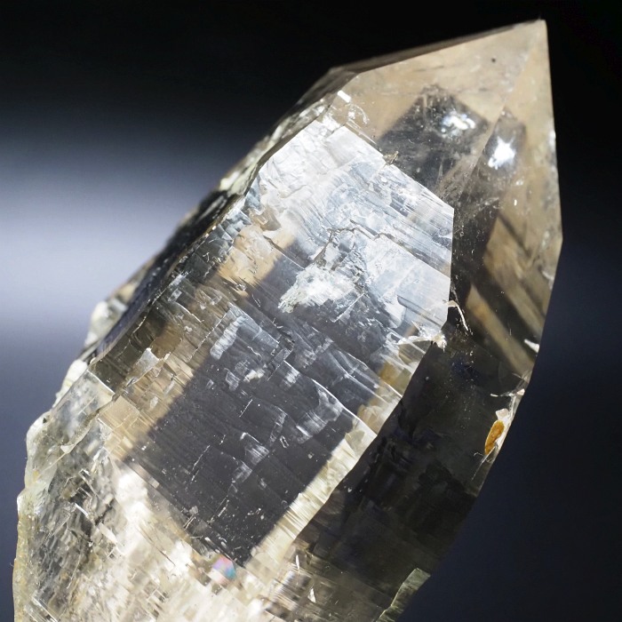 X[L[VgNH[cXCXAvXP 115mm 402g (35-36)