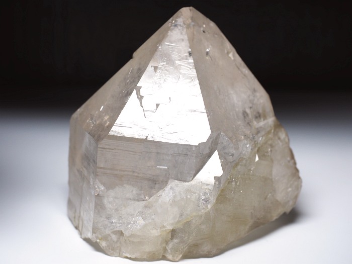 zCgNH[c XCXAvXP 84mm 610g (9-15)